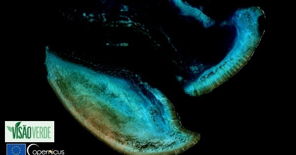 Oceanos: Austrália destina 1,1 mil milhões de euros para preservação da Grande Barreira de Coral
